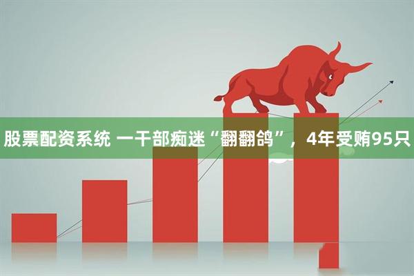 股票配资系统 一干部痴迷“翻翻鸽”，4年受贿95只