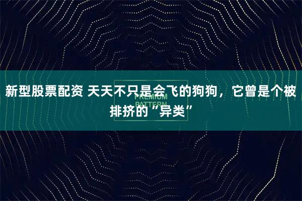 新型股票配资 天天不只是会飞的狗狗，它曾是个被排挤的“异类”